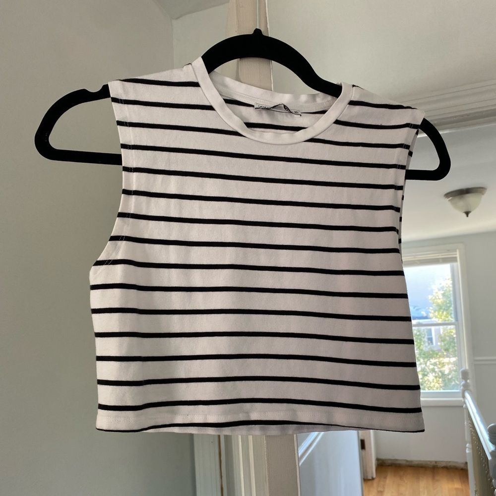 Zara Striped Crop Top